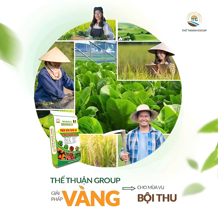 Các loại phân bón lá cho cây ăn trái