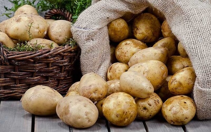 Công dụng của phân bón lá rong biển