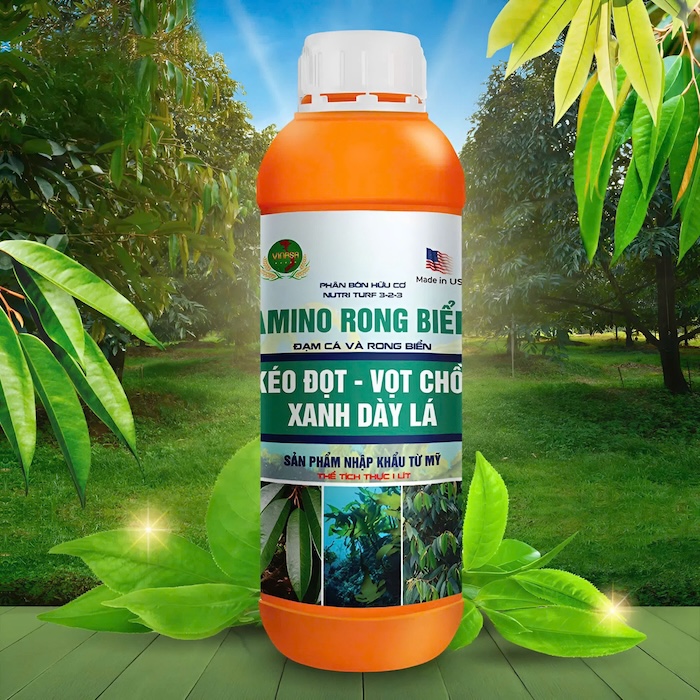 Công thức phối trộn phân bón lá amino rong biển