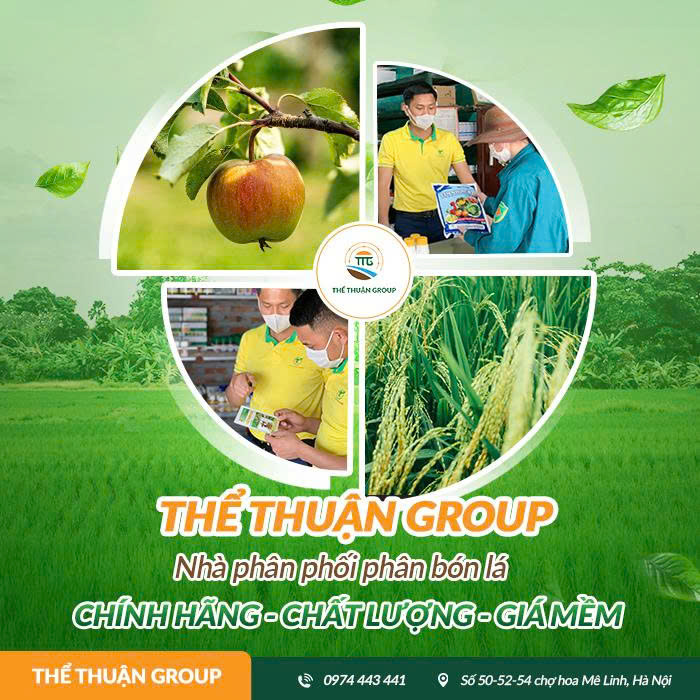 Phân bón lá 30 10 10 có tác dụng gì