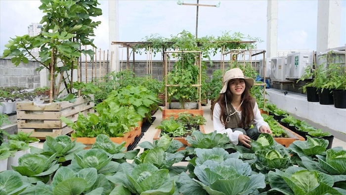 Phân bón lá amino gold Phân bón lá amino gold