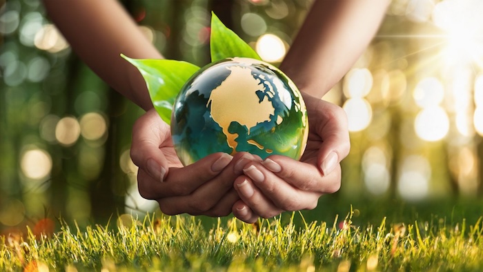 Phân bón lá amino gold Phân bón lá amino gold