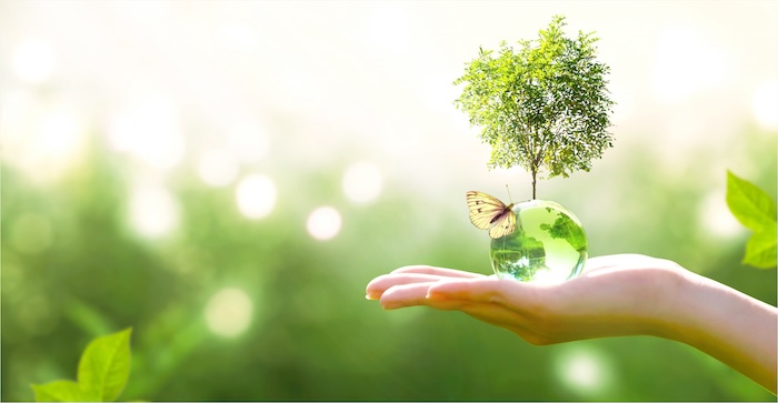 Phân bón lá bio việt nam
