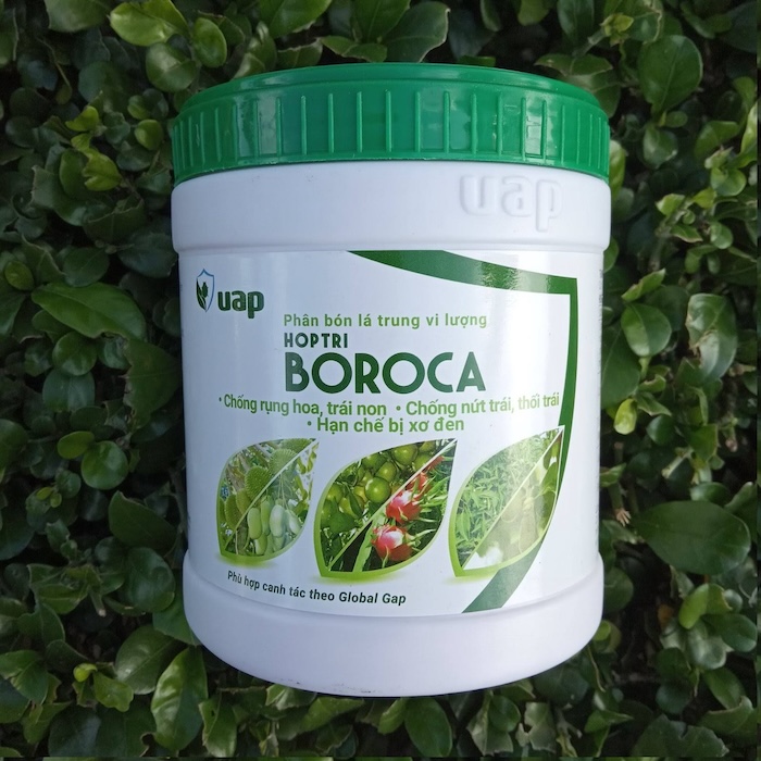 Phân bón lá boroca
