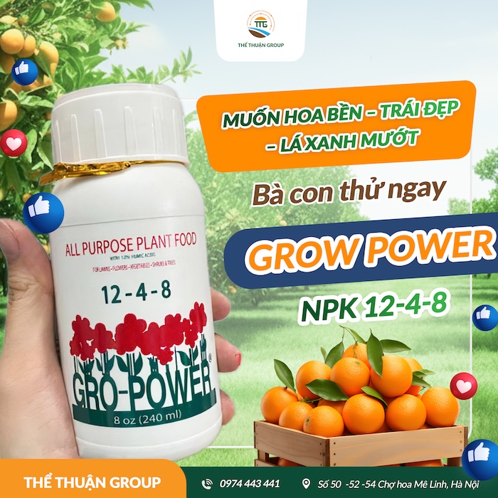 Phân bón lá cho cây sầu riêng
