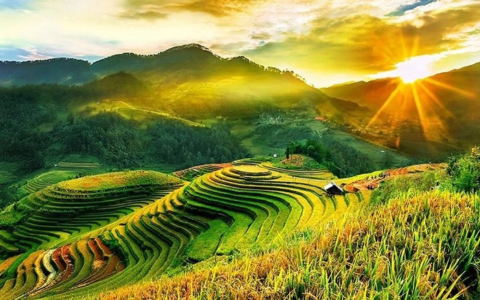 Phân bón lá cho rau màu