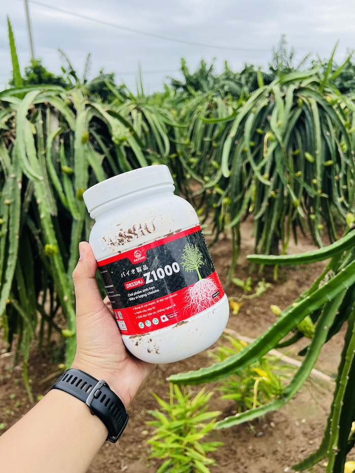 Phân bón lá dasshu z1000 Phân bón lá dasshu z1000