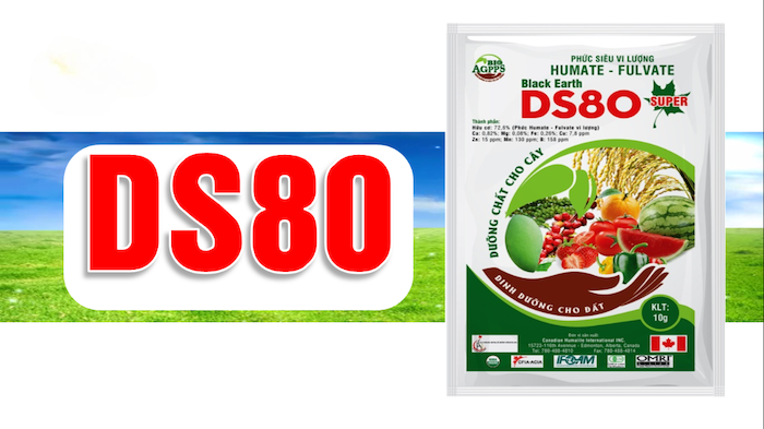 Phân bón lá ds80 Phân bón lá ds80