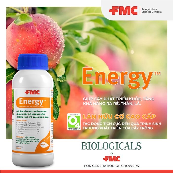 Phân bón lá energy Phân bón lá energy