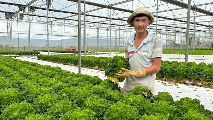 Phân bón lá et Phân bón lá et