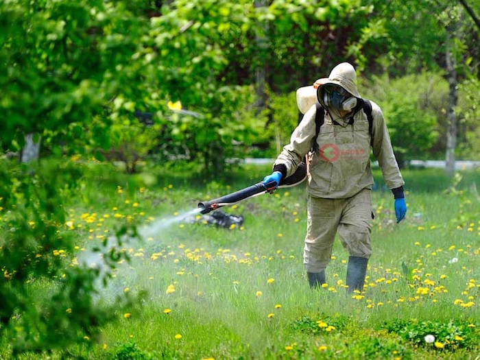 Phân bón lá f bo Phân bón lá f bo