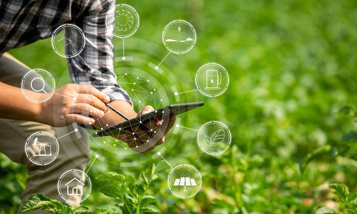 Phân bón lá gamix