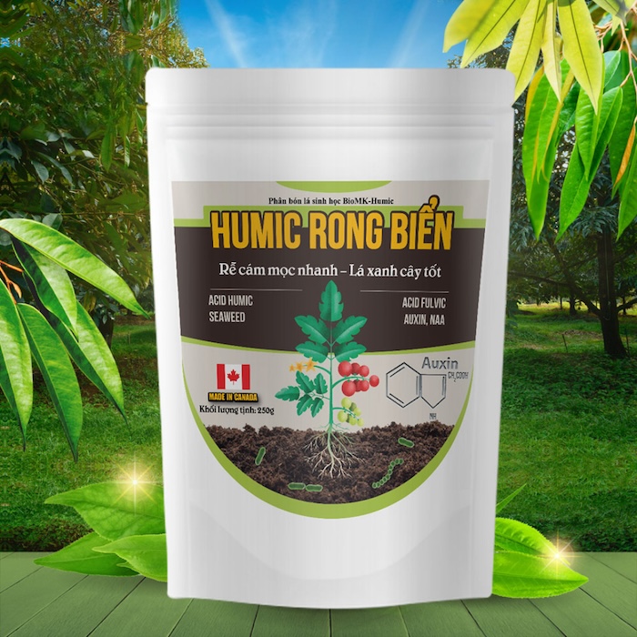 Phân bón lá humic rong biển Phân bón lá humic rong biển