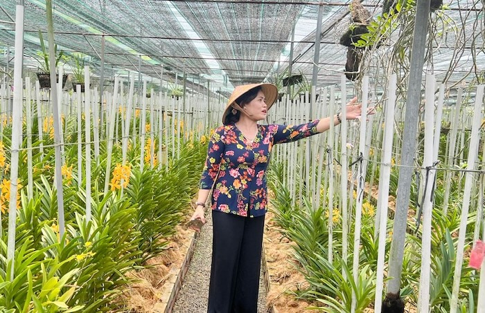 Phân bón lá hữu cơ cho lan Phân bón lá hữu cơ cho lan