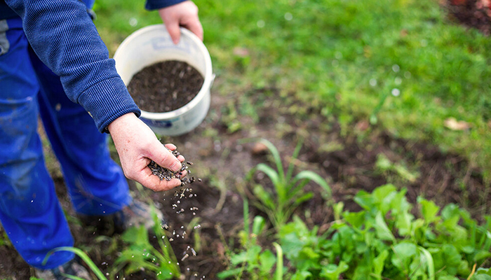 Phân bón lá nhập khẩu Phân bón lá nhập khẩu