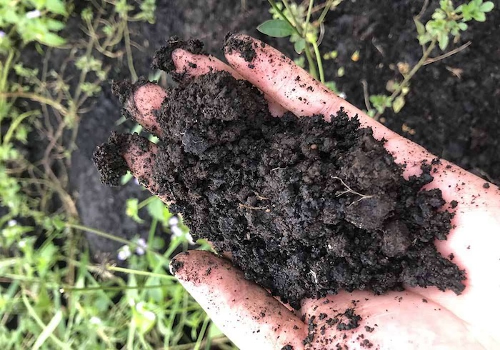 Phân bón gốc canxi Phân bón gốc canxi