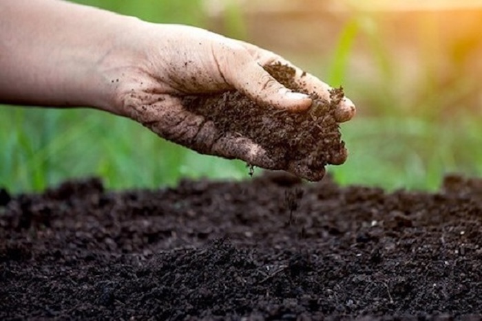 Phân bón gốc trung vi lượng