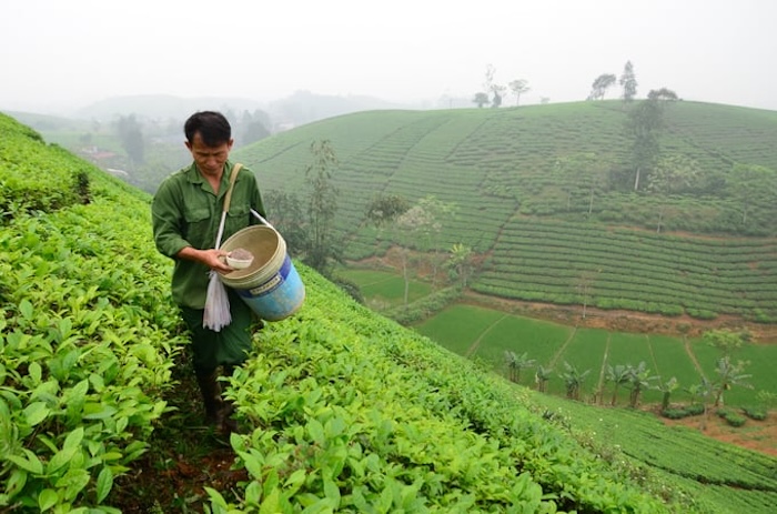 Phân bón lá sinh học là gì