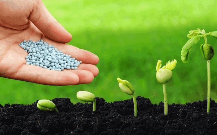 Phân bón lá trung vi lượng là gì