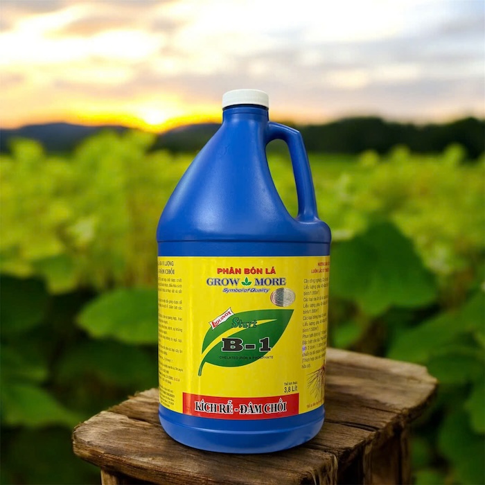 Phân bón lá vitamin b1 growmore Phân bón lá vitamin b1 growmore