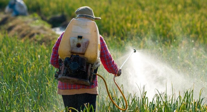 Thuốc trừ sâu alpha