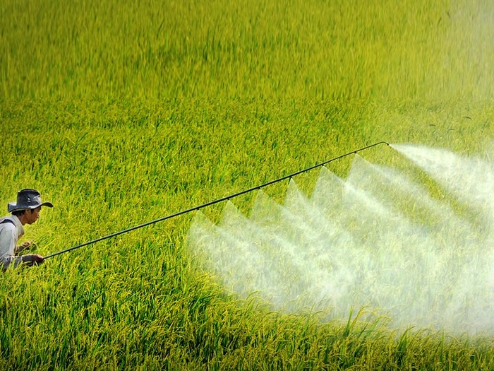 Thuốc trừ sâu ăn lá