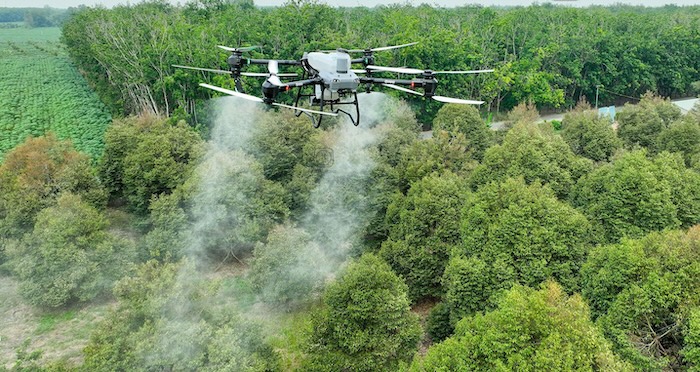 Thuốc trừ sâu anboom