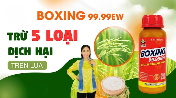 Thuốc trừ sâu boxing 99.99 ew