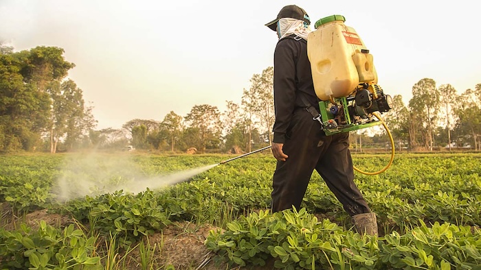 Thuốc trừ sâu cuốn lá