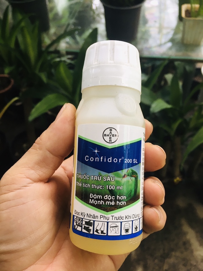 Cách sử dụng thuốc trừ sâu confidor