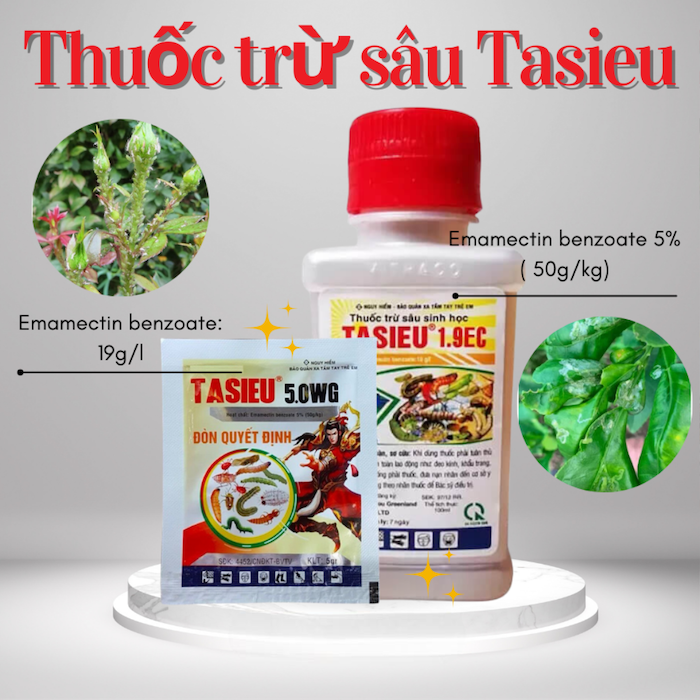 Cách sử dụng thuốc trừ sâu tasieu