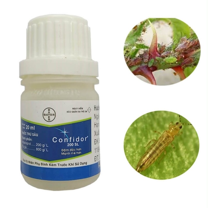 Thuốc trừ sâu bọ trĩ confidor