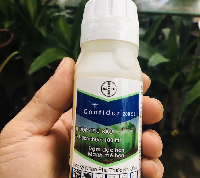 Thuốc trừ sâu confidor 200sl Thuốc trừ sâu confidor 200sl
