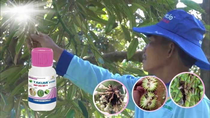 Thuốc trừ sâu cuốn lá takumi Thuốc trừ sâu cuốn lá takumi