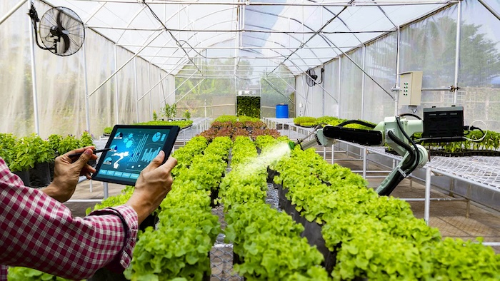 Thuốc trừ sâu fenvalerate Thuốc trừ sâu fenvalerate