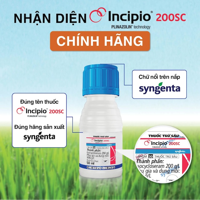 Thuốc trừ sâu incipio Thuốc trừ sâu incipio