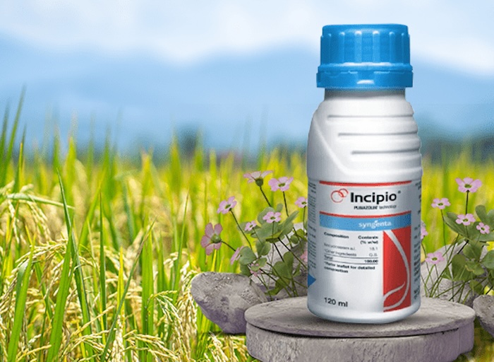 Thuốc trừ sâu incipio 200sc chai