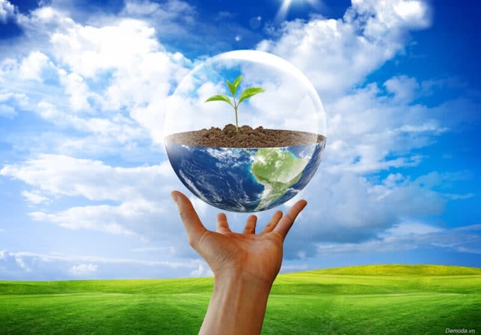 Các loại thuốc trừ sâu sinh học an toàn Các loại thuốc trừ sâu sinh học an toàn