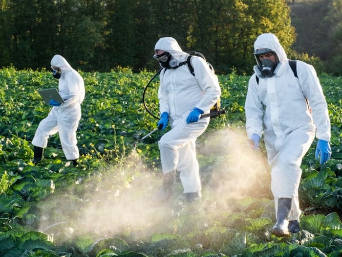 Cách sử dụng thuốc trừ sâu Basudin