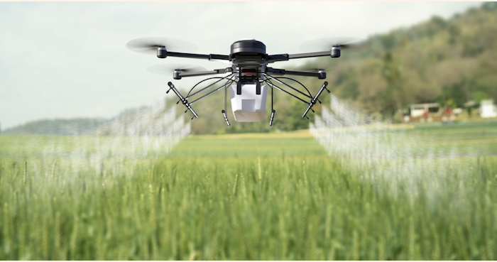 Các loại thuốc trừ sâu cuốn lá