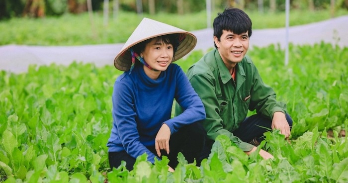 Thuốc trừ sâu cho rau của nhật