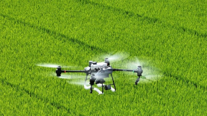 Thuốc trừ sâu cuốn lá cpo