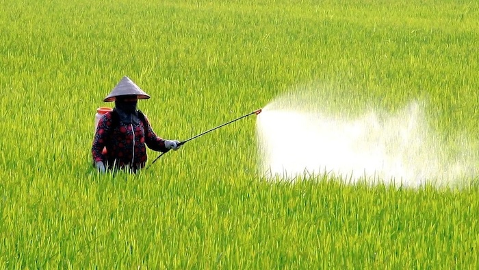 Thuốc trừ sâu cuốn lá hiệu quả