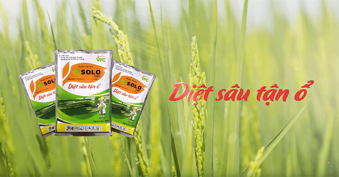 Thuốc trừ sâu cuốn lá solo