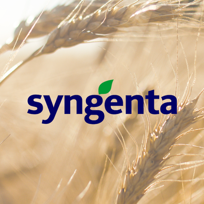 Thuốc trừ sâu cuốn lá syngenta
