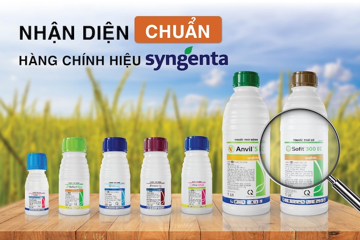 Thuốc trừ sâu cuốn lá syngenta