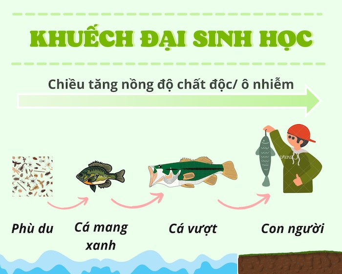 Thuốc trừ sâu ddt thành phần Thuốc trừ sâu ddt thành phần
