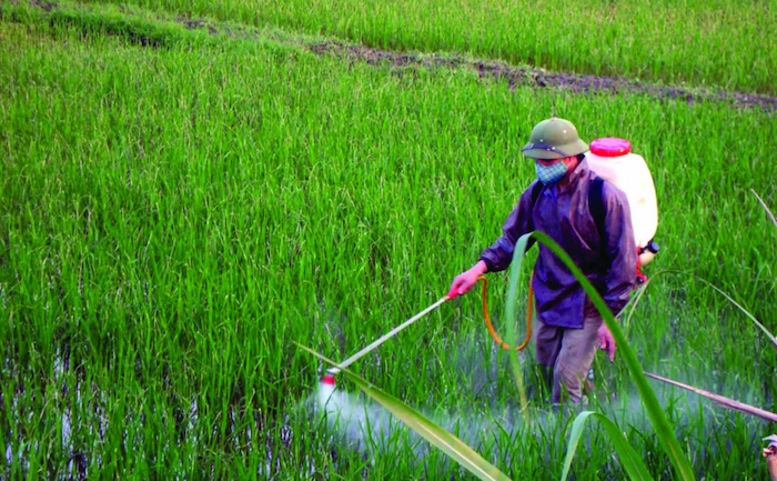 Thuốc trừ sâu ec là gì