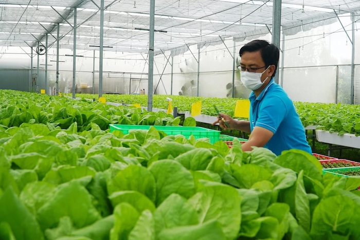 Thuốc trừ sâu sinh học emamectin