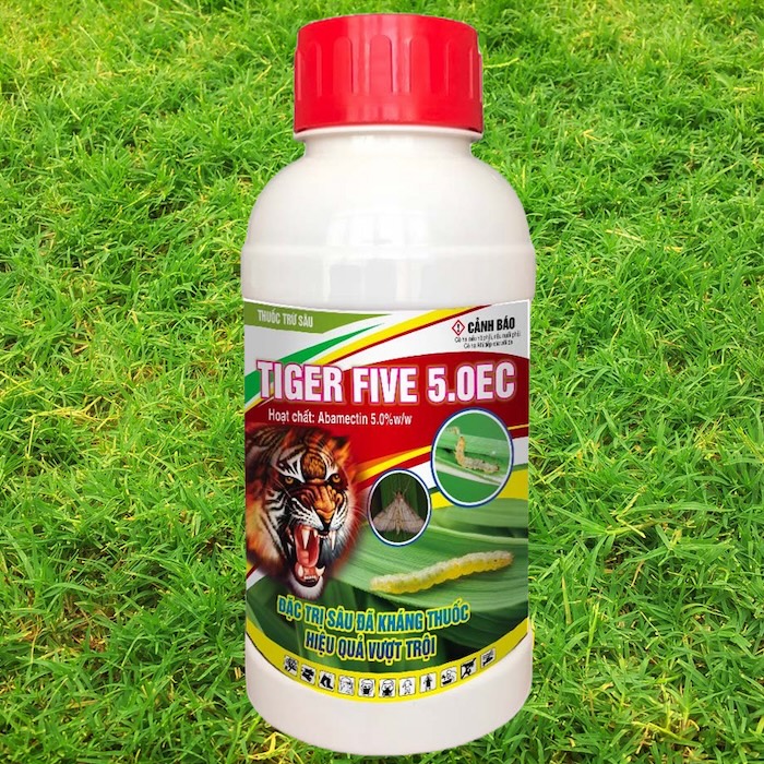 Thuốc trừ sâu tiger five 5.0 ec